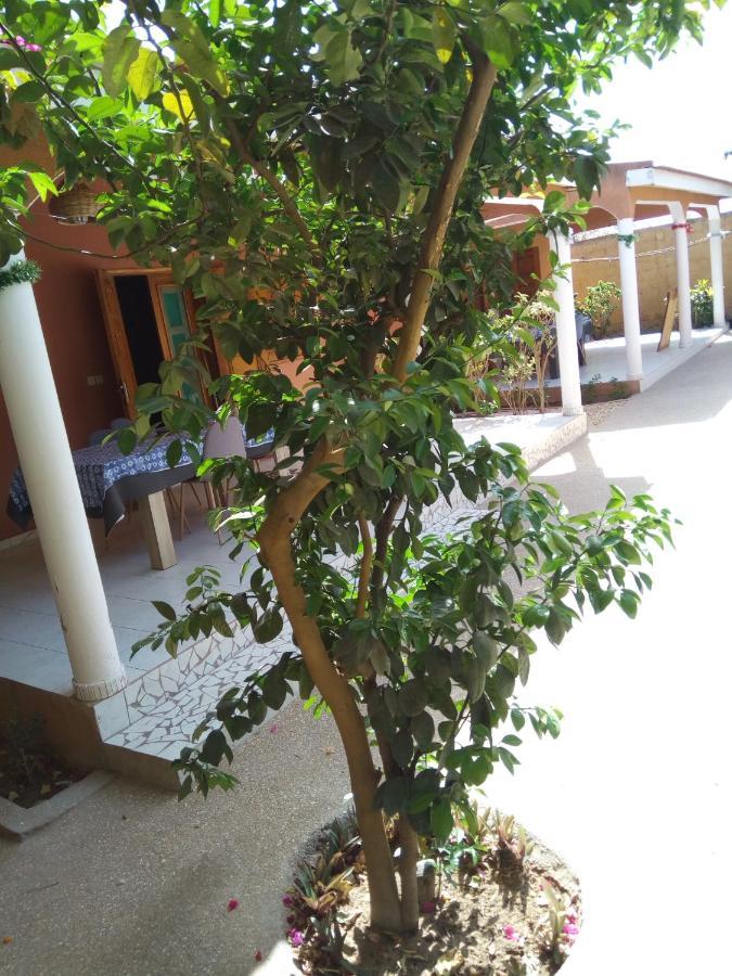 Bed and Breakfast Chez Coumba Et Daniel Saly Exterior foto